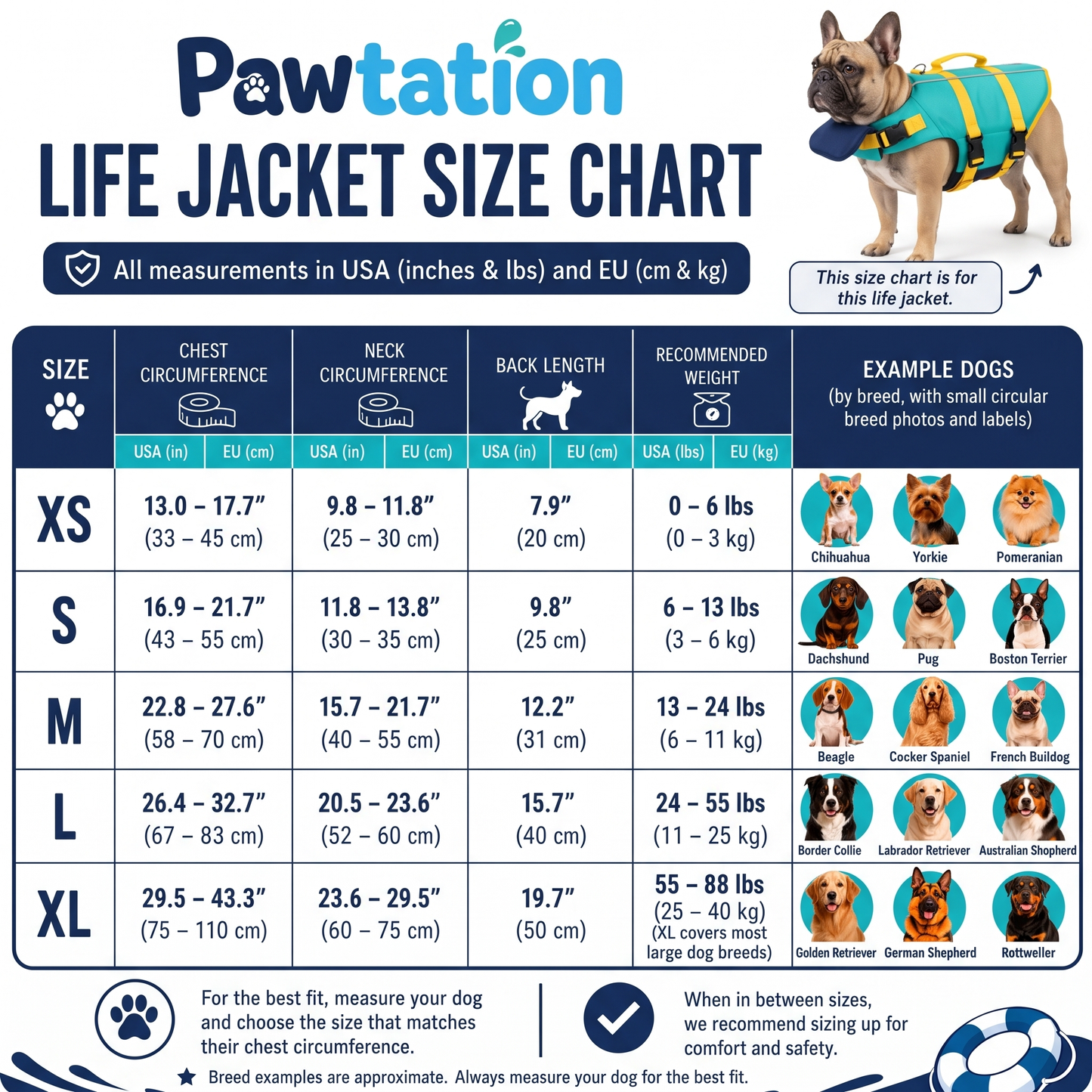 Pawtation- LIFE JACKET